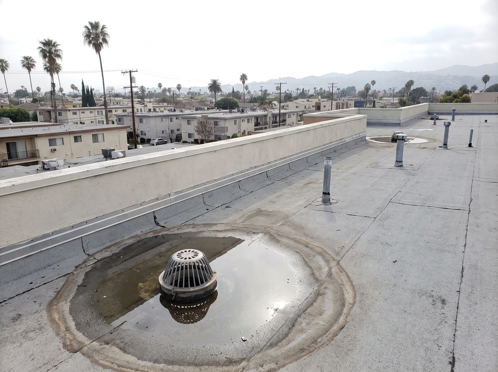 A roof drain with a dome strainer on a gray cap sheet roof, with a shallow puddle of standing water around it and a parapet behind