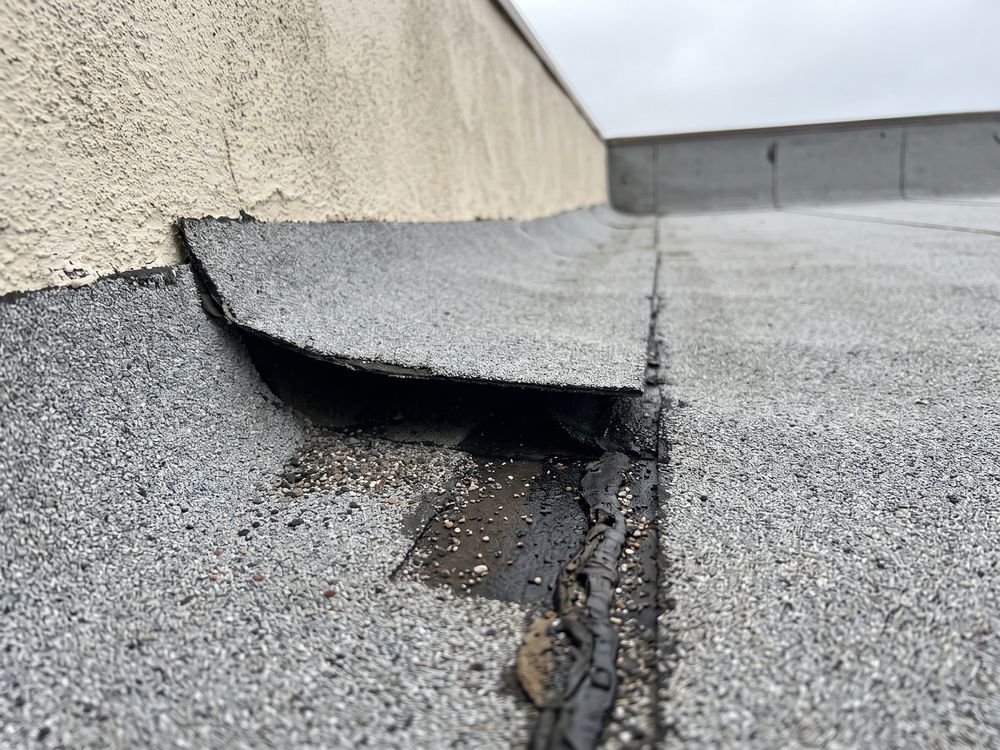 A lap seam in granulated cap sheet roofing lifted open at the foot of a stucco parapet, with damp felt and loose granules showing underneath